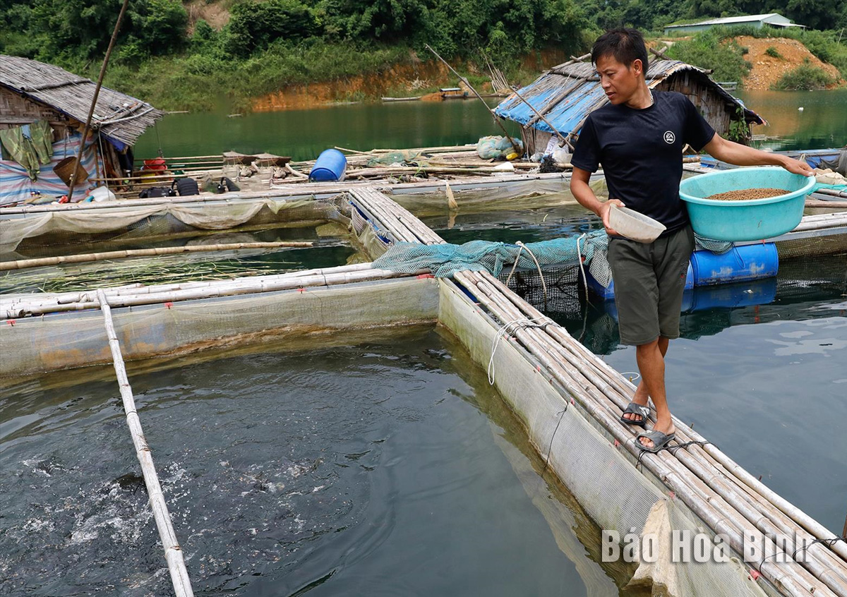 Huyện Đà Bắc đẩy nhanh tiến độ các chương trình mục tiêu quốc gia