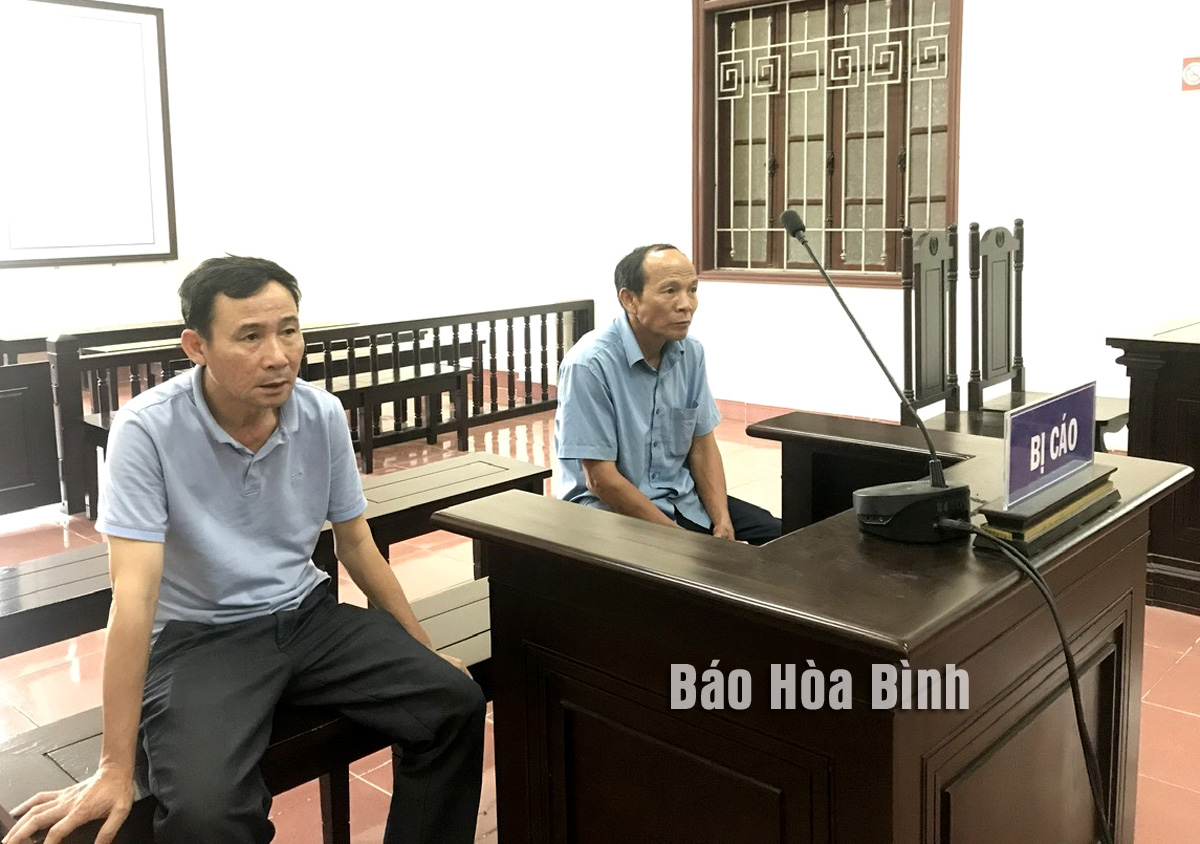 21 tháng tù cho 2 bị cáo khai thác vàng trái phép