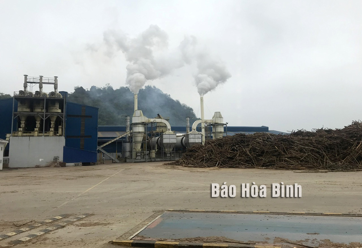 Hoạt động của Công ty BVN có gây ảnh hưởng đến cuộc sống của người dân?