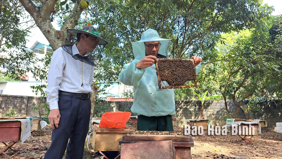 "Đòn bẩy" vốn tiếp sức nông dân nuôi ong làm giàu