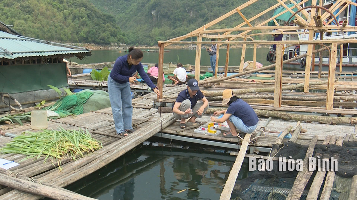 Bảo vệ thủy sản mùa nắng nóng, mưa lũ