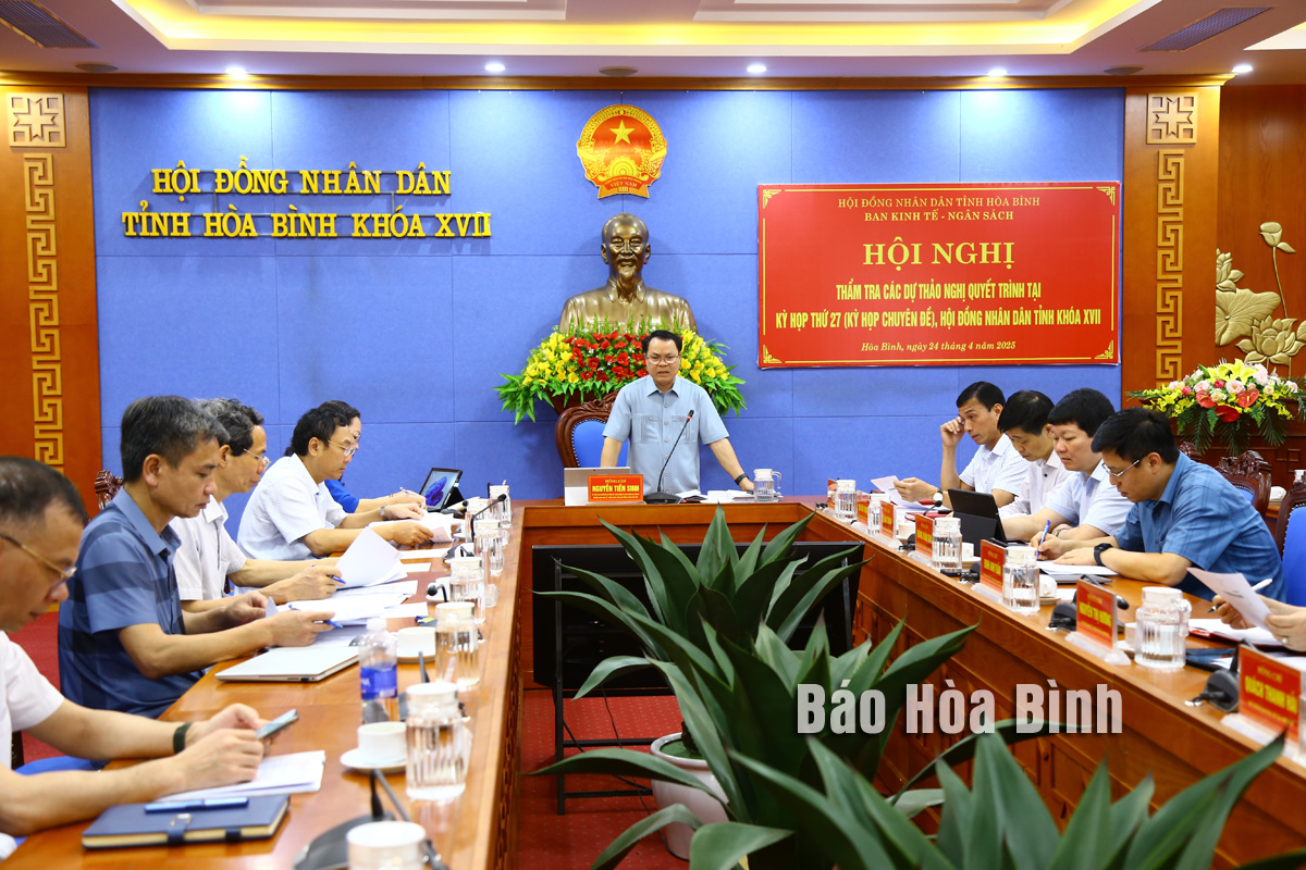 Thẩm tra các dự thảo nghị quyết trình tại Kỳ họp thứ 27, HĐND tỉnh khóa XVII