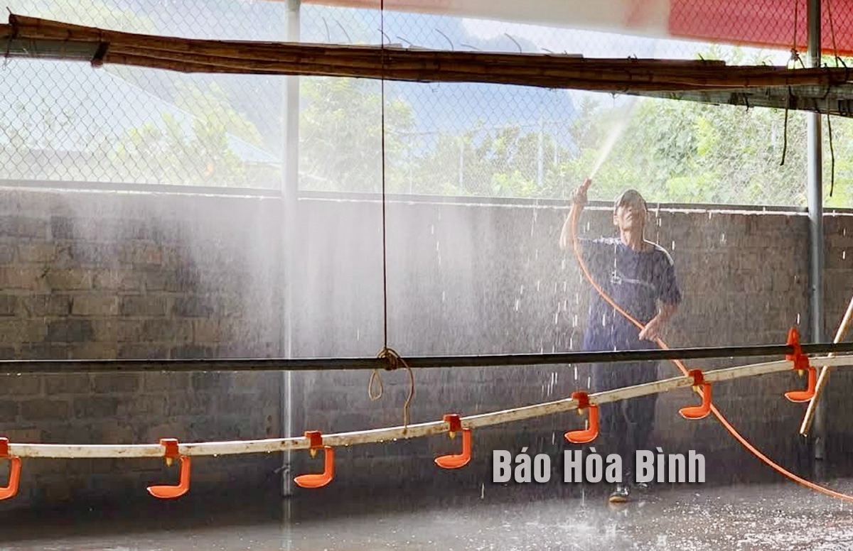 Những bước đi xanh ở nông thôn Hòa Bình