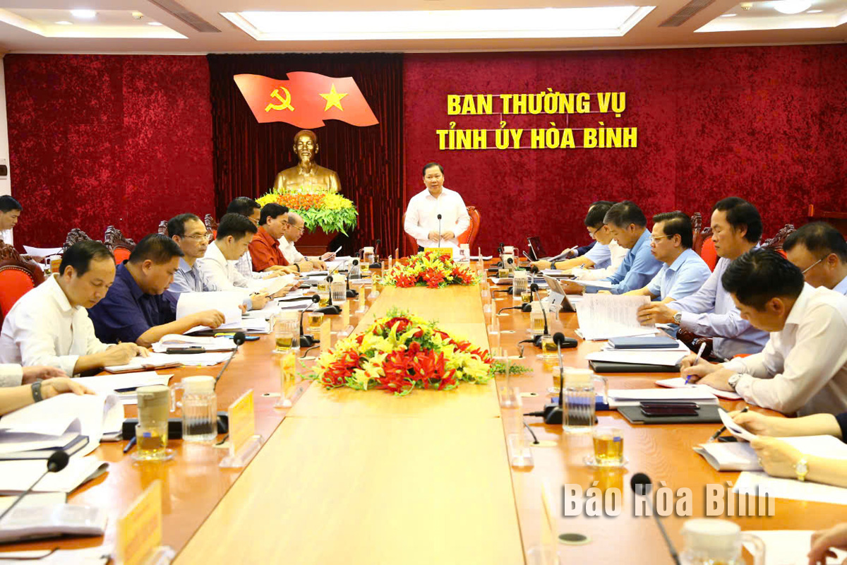 Bí thư Tỉnh uỷ Nguyễn Phi Long: Tập trung triển khai thực hiện các nhiệm vụ Đề án về văn hóa dân tộc Mường và nền "Văn hóa Hòa Bình"