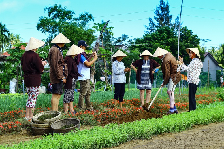 Làng rau Trà Quế được công nhận "Làng Du lịch tốt nhất" năm 2024