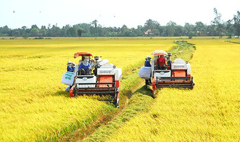 Phát triển bền vững và giảm phát thải trong sản xuất lúa gạo
