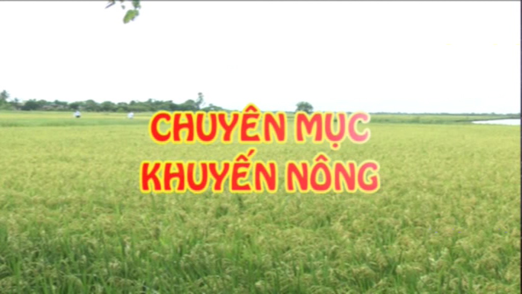 CM: Khuyến nông 19/9/2024