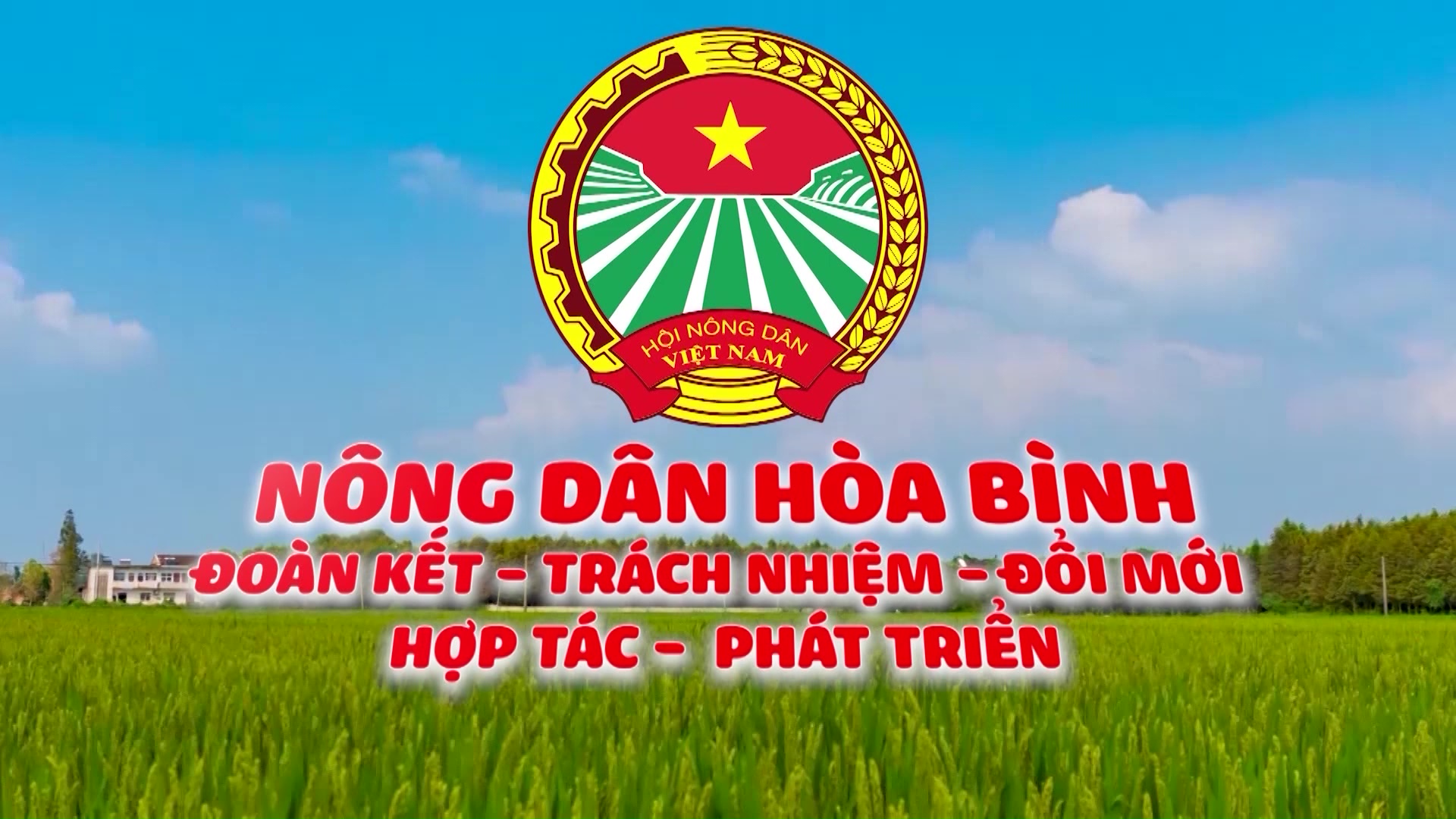 CM: Nông dân Hòa Bình 12/11/2024