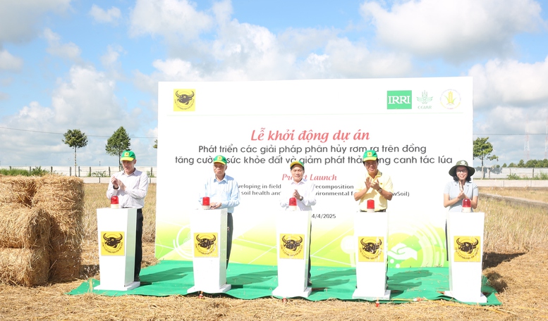'Gạo Việt Nam xanh phát thải thấp': Bước tiến mới cho ngành lúa gạo