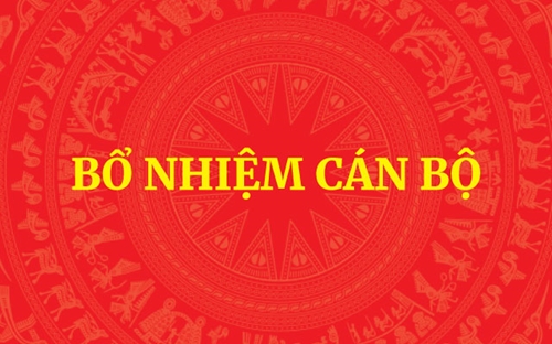 Bổ sung thành viên Tổ công tác của Thủ tướng Chính phủ về cao điểm đấu tranh ngăn chặn buôn lậu, hàng giả