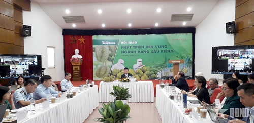 Phát triển bền vững ngành hàng sầu riêng