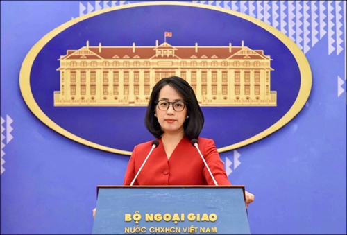Việt Nam mong muốn nâng cao tiếng nói, vai trò của các nước đang phát triển