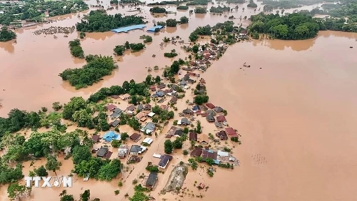 Bộ Giáo dục và Đào tạo đề nghị miễn giảm học phí, hỗ trợ sinh viên bị thiệt hại do bão số 3