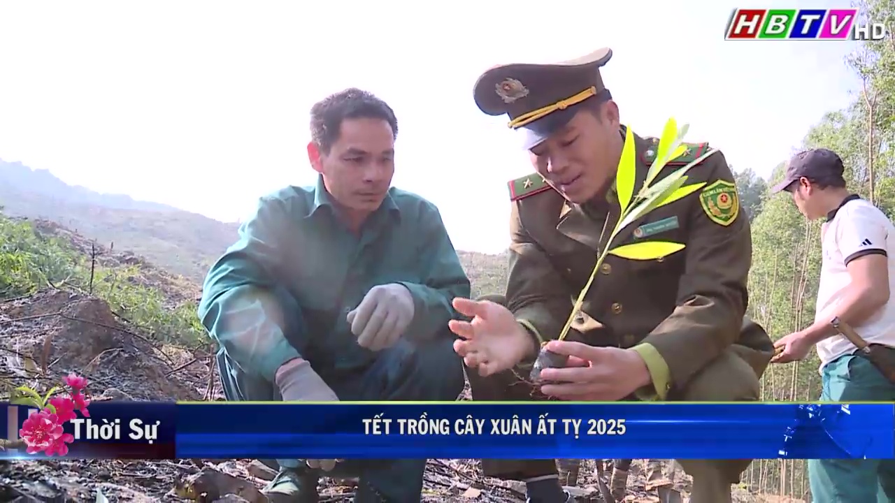 2/2: TẾT TRỒNG CÂY XUÂN ẤT TỴ 2025