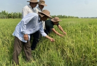 Nông sản Việt với sức bật của tư duy đa giá trị, đa ngành