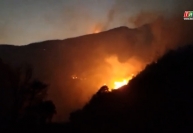 Cháy rừng tại Sa Pa, hơn 300 người được huy động dập lửa