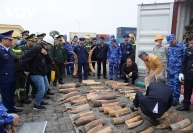 Bộ Tư lệnh Vùng Cảnh sát biển 1 phối hợp bắt giữ gần nửa tấn ngà voi nhập lậu