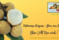 Nhãn tươi Việt Nam được phân phối rộng khắp tại thị trường Australia