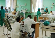 Cuba kích hoạt hệ thống y tế chống virus Oropouche