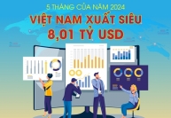 Việt Nam xuất siêu 8,01 tỷ USD