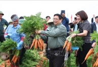 Thủ tướng Phạm Minh Chính xuống đồng cùng nông dân tỉnh Hải Dương