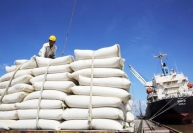 Xuất khẩu gạo của Việt Nam đạt hơn 2,1 triệu tấn trong quý I-2024