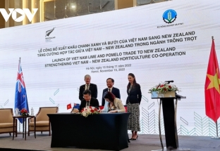 Việt Nam đạt thỏa thuận xuất khẩu quả chanh và bưởi sang New Zealand