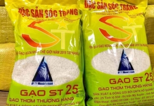Nhiều ý kiến trái chiều về việc chọn gạo ST25 đi thi "World's Best Rice 2020"
