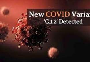 WHO khẳng định biến thể C.1.2 của SARS-CoV-2 không có nguy cơ lây lan mạnh như lo ngại
