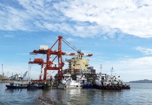 Nhiều sai phạm trong thẩm định giá cổ phần cảng Quy Nhơn