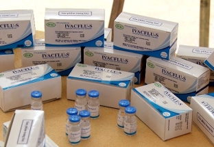 Lưu hành sản phẩm vaccine cúm mùa ‘3 trong 1’ IVACFLU-S