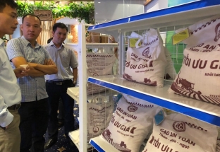 Ra mắt kênh phân phối nông sản an toàn Việt Nam