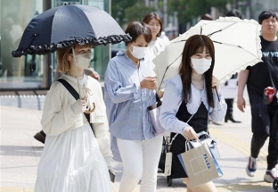 Nhật Bản: Nhiệt độ ở thủ đô Tokyo vượt mức kỷ lục tháng 11