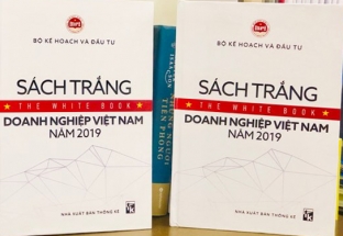 Lần đầu công bố Sách trắng Doanh nghiệp Việt Nam 2019