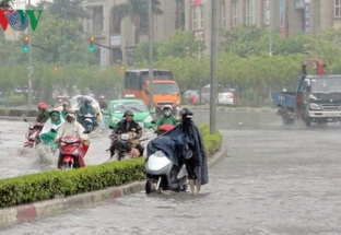 Dự báo thời tiết: Hà Nội sắp đón mưa vàng, nhiệt độ giảm mạnh