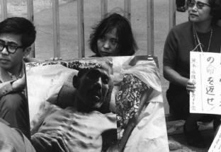 Ký ức chết chóc do thủy ngân ở Nhật Bản và bài học cho Việt Nam
