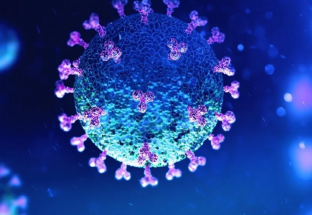 WHO khẳng định virus SARS-CoV-2 "có nguồn gốc tự nhiên"