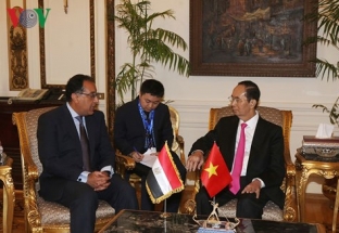 Chủ tịch nước Trần Đại Quang hội kiến với Thủ tướng Ai Cập 