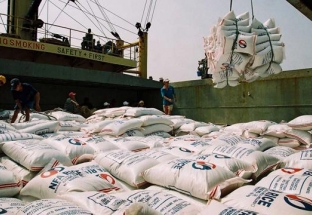 Xuất khẩu gạo tháng 10 tăng cao kỷ lục