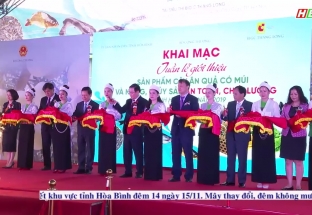 14/11: Khai mạc " Tuần lễ giới thiệu nông sản tỉnh Hòa Bình" tại Siêu thị Big C - Hà Nội