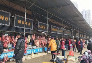 Phát hiện 47.000 động vật hoang dã bán ở chợ Vũ Hán trước khi Covid-19 bùng phát