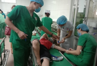 Bị ong đốt, 16 học sinh tại thành phố Vinh nhập viện