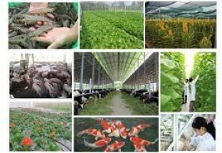 Ngân sách Nhà nước ưu tiên hỗ trợ phát triển sản xuất giống cây trồng, vật nuôi chủ lực quốc gia