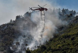 Hy Lạp: Hơn 56.000 ha rừng bị tàn phá chỉ trong 10 ngày 