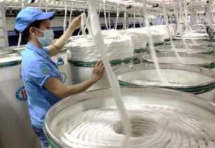 Nhiều tín hiệu tích cực với xuất khẩu xơ sợi Việt Nam