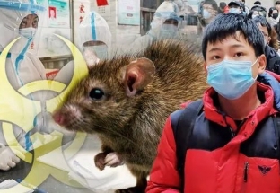 WHO đang giám sát trường hợp bệnh dịch hạch tại Trung Quốc