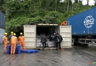 Đà Nẵng: Tiêu hủy gần 10 tấn động vật hoang dã buôn lậu từ châu Phi về Việt Nam