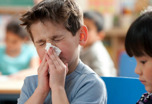 Hơn 200 người tại Australia tử vong vì cúm