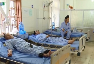 19 người ở Sơn La bị ngộ độc vì ăn bọ xít