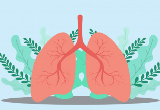 Một số cách bảo vệ phổi của bạn trong thời kỳ đại dịch COVID-19